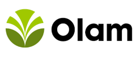 Olam
